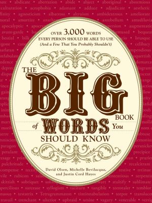 The big book of words you should know : over 3,000 words every person should be able to use (and a few that you probably shouldn't)
