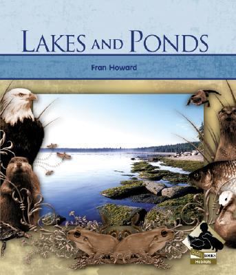 Lakes and ponds