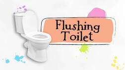 Flushing toilet