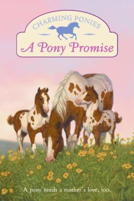 A pony promise