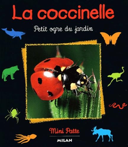 La coccinelle : petit ogre du jardin