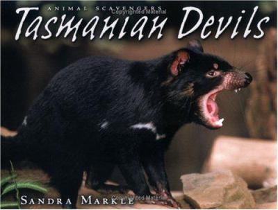 Tasmanian devils