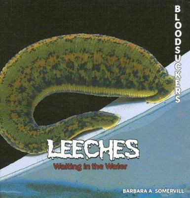 Leeches : waiting in the water