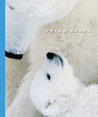 Polar bears