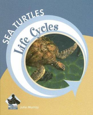 Sea turtles