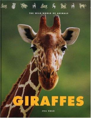 Giraffes