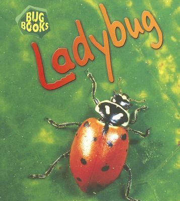 Ladybug