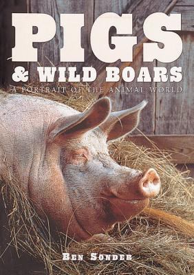 Pigs & wild boars : a portrait of the animal world