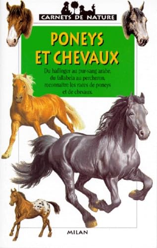 Poneys et chevaux