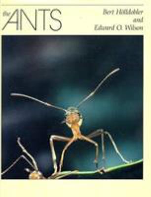 The ants