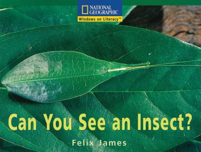 Can you see an insect?