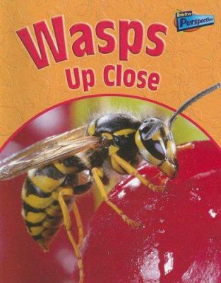 Wasps up close