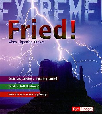 Fried! : when lightning strikes