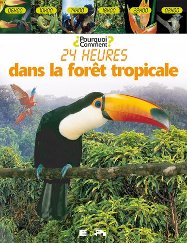 24 heures dans la forêt tropicale