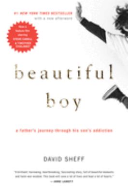 Beautiful boy : a father's journey through his son's addiction