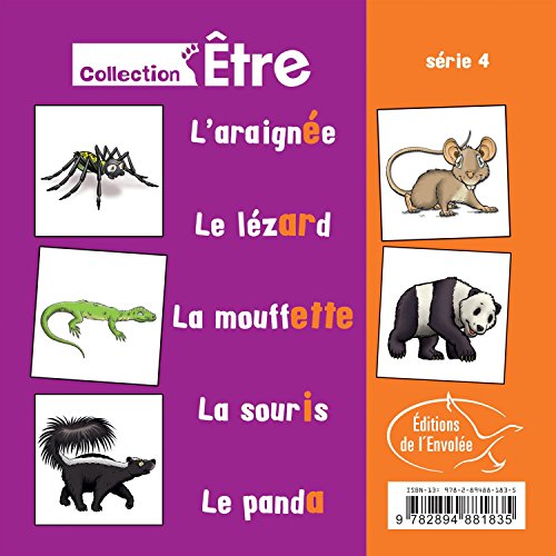 L'araignée