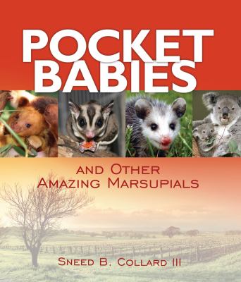 Pocket babies and other amazing marsupials