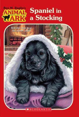 Spaniel in a stocking