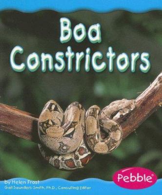 Boa constrictors