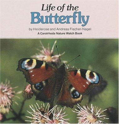 Life of the butterfly