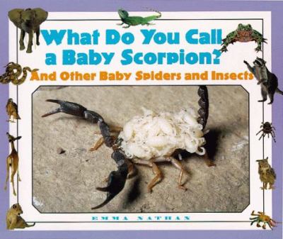What do you call a baby scorpion? : and other baby spiders and insects
