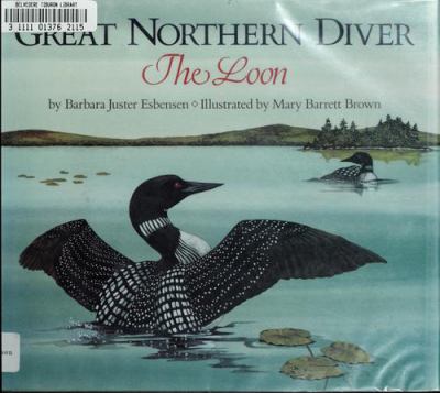 Great northern diver : the loon