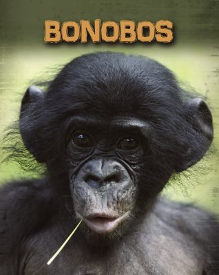 Bonobos