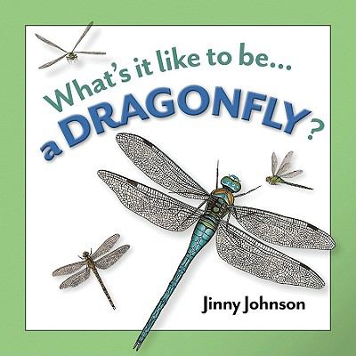 A dragonfly