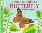 From caterpillar to butterfly