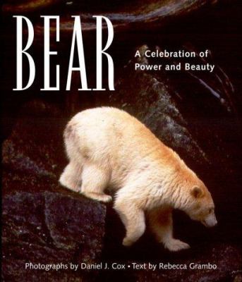 Bear : a celebration of power and beauty