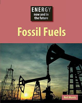 Fossil fuels : now and in the future