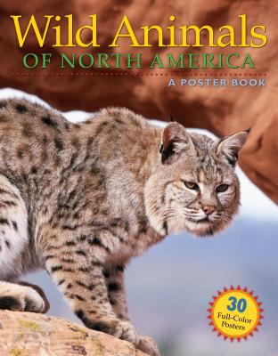 Wild animals of North America : a poster book