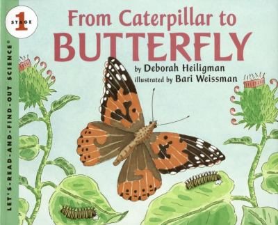 From caterpillar to butterfly