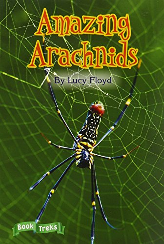 Amazing arachnids