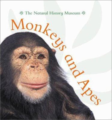 Monkeys and apes