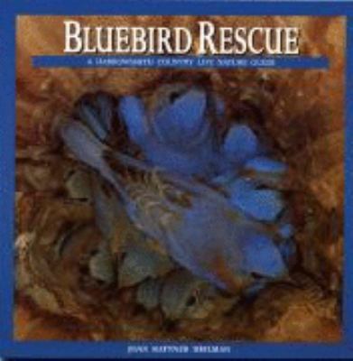 Bluebird rescue