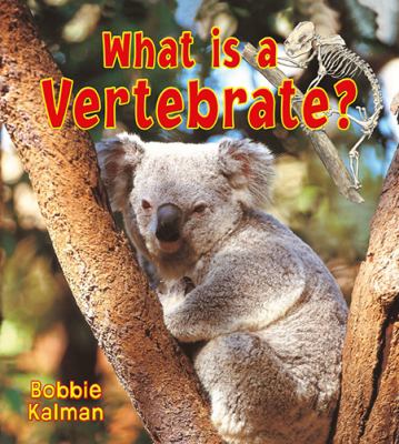 What is a vertebrate?