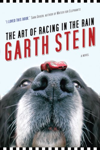 The art of racing in the rain : a novel