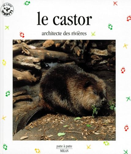 Le castor, architecte des rivières