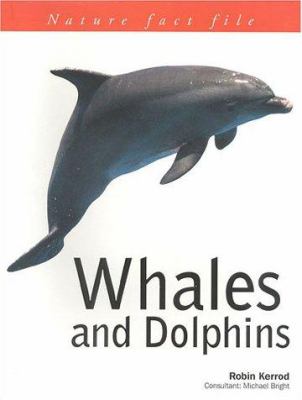 Whales & dolphins