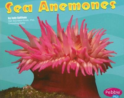 Sea anemones