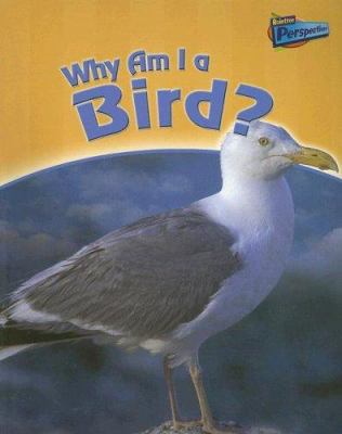 Why am I a bird?