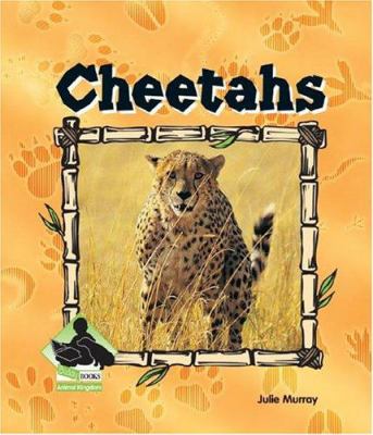 Cheetahs