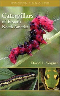 Caterpillars of Eastern North America : a guide to identification and natural history