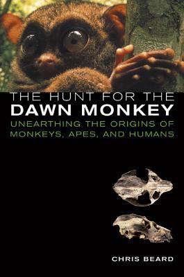The hunt for the dawn monkey : unearthing the origins of monkeys, apes, and humans