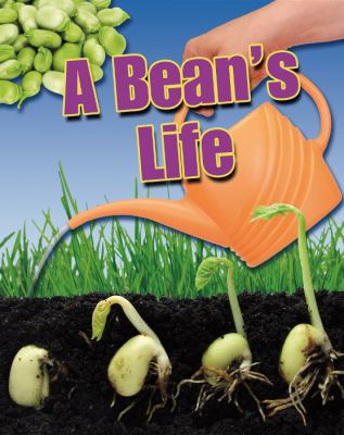 A bean's life