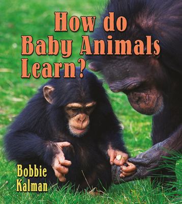 How do baby animals learn?