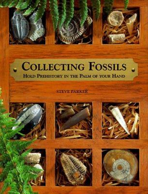 Collecting fossils : hold prehistory in the palm of your hand