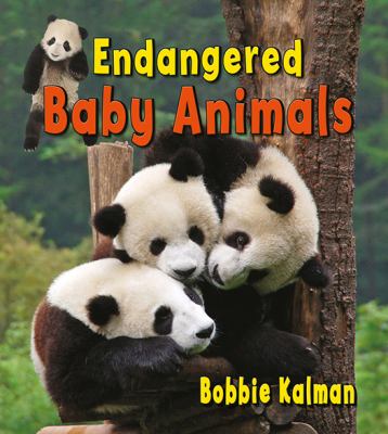 Endangered baby animals