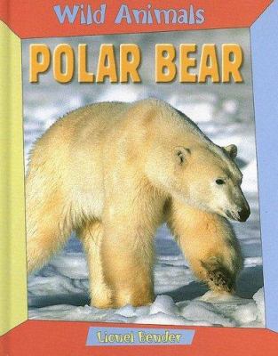 Polar bear